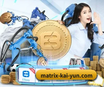 国际化进程 - kaiyun