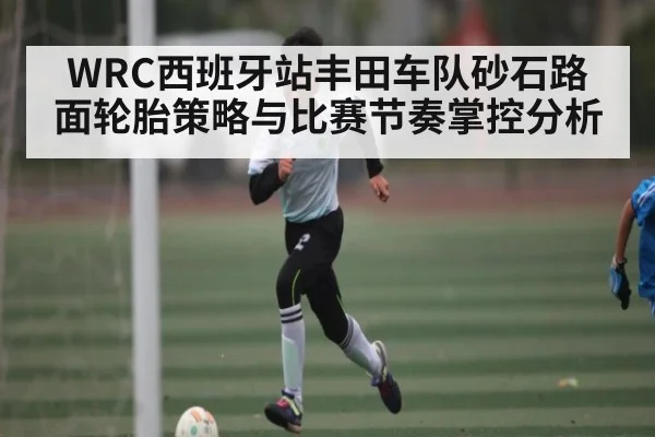 WRC西班牙站丰田车队砂石路面轮胎策略与比赛节奏掌控分析